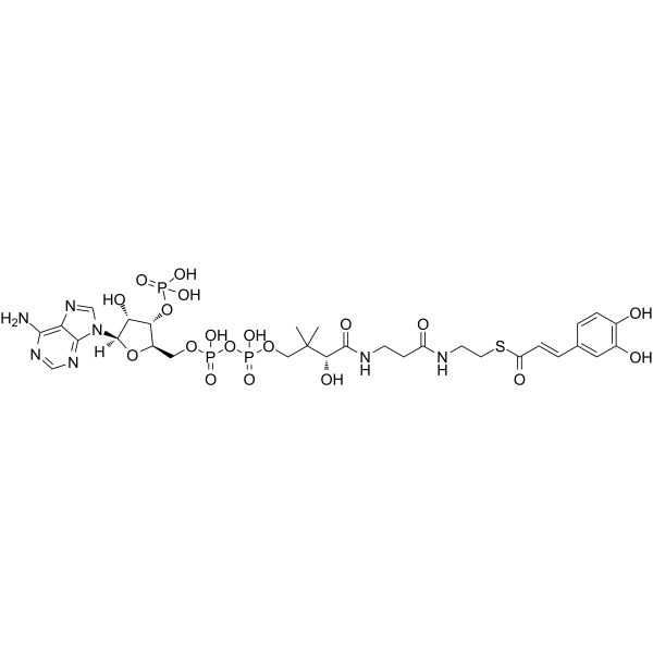 Caffeoyl-CoA 53034-79-0